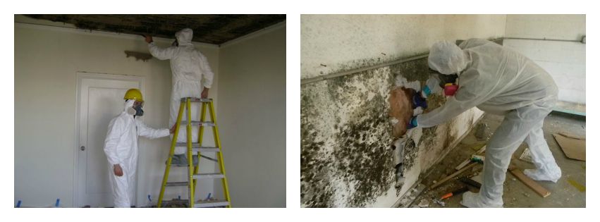 mould-removal