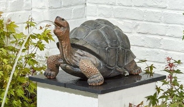 tortoise-water-feature