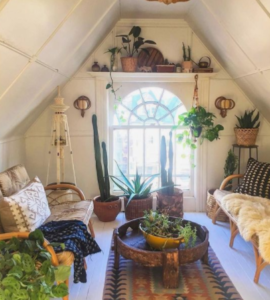 attic-plants
