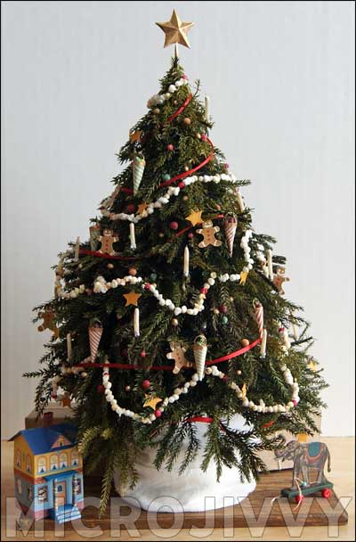 The History Of the Christmas Tree